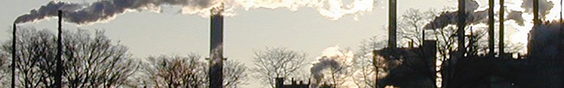 Banner 3